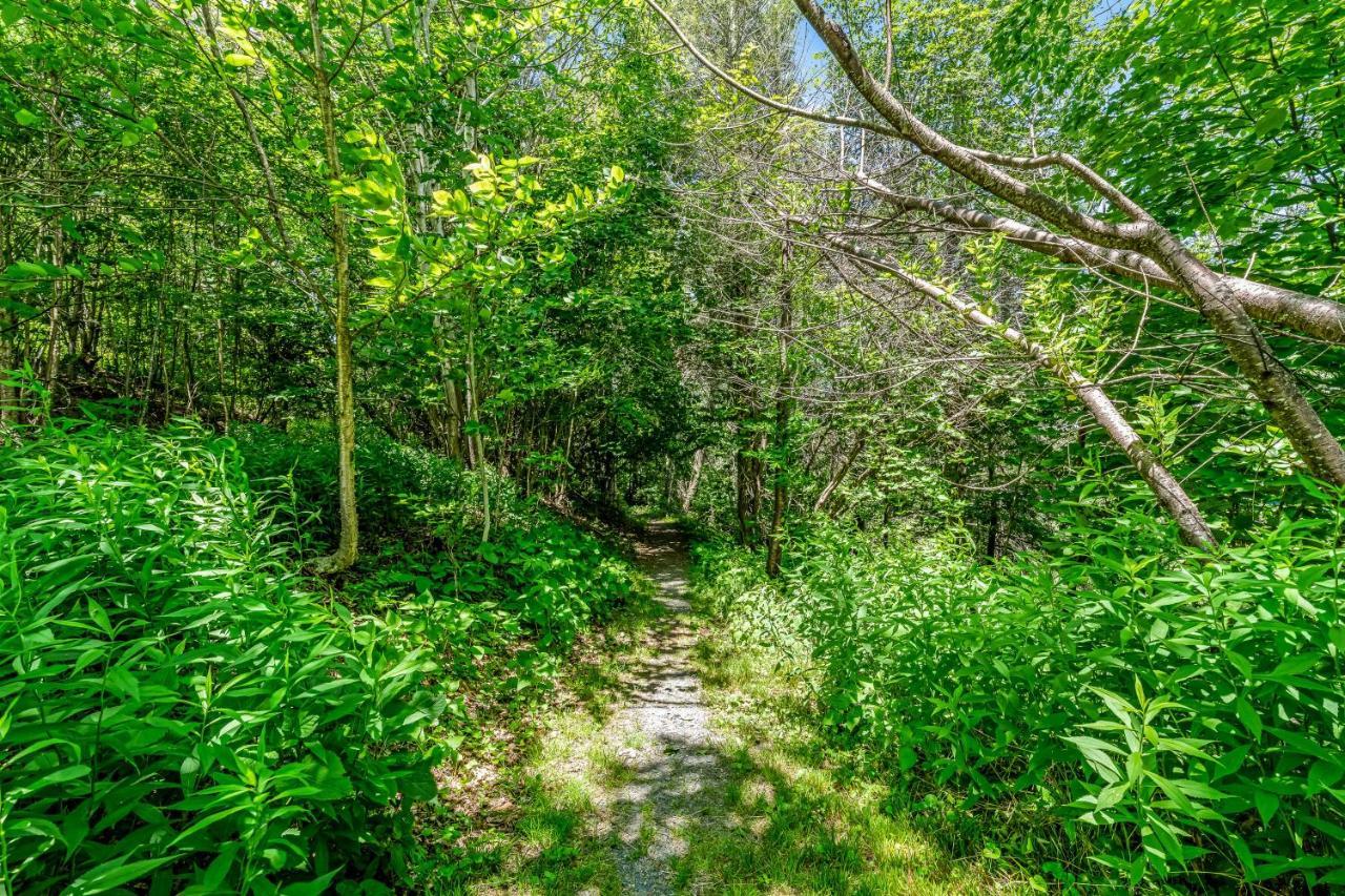 Skyleaf Retreat Apartment Sugar Mountain Bagian luar foto